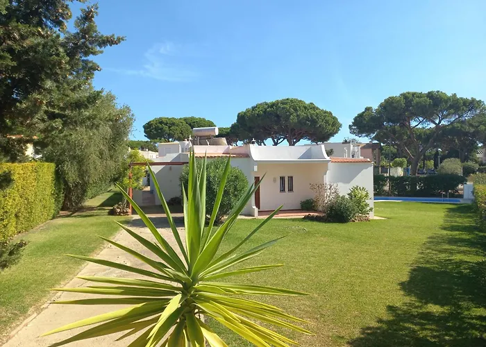 Azevedo 维拉摩拉